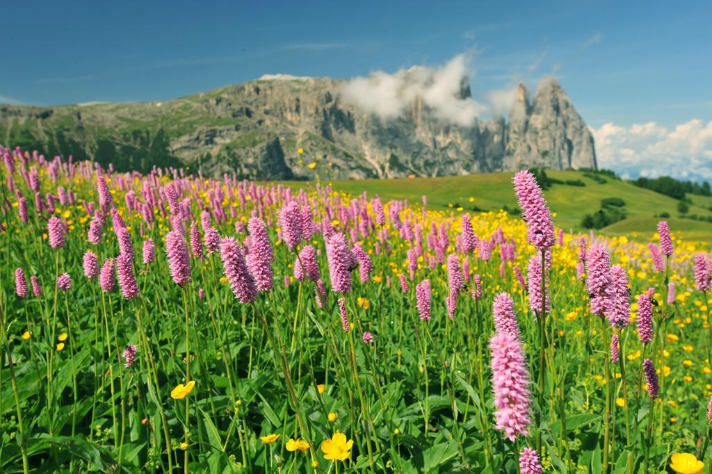 Отель Garni Alpin Сьюзи Экстерьер фото